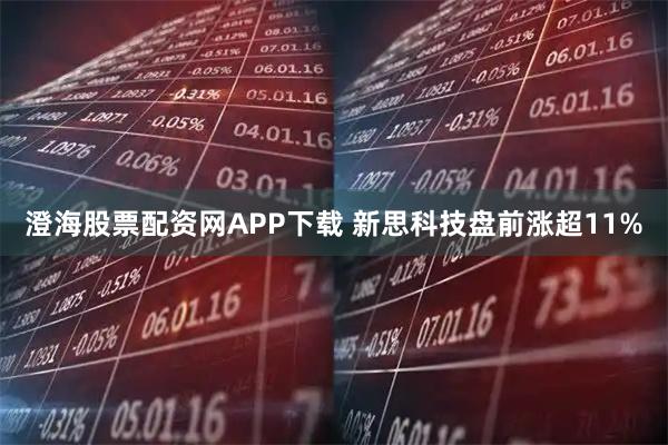 澄海股票配资网APP下载 新思科技盘前涨超11%