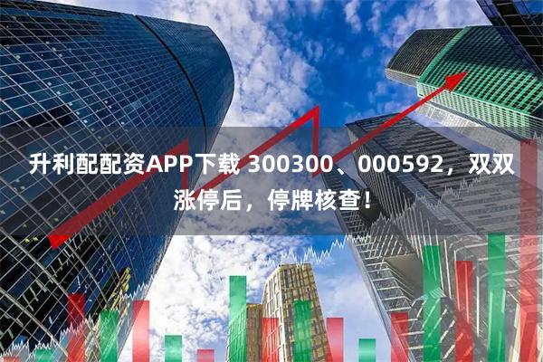 升利配配资APP下载 300300、000592，双双涨停后，停牌核查！