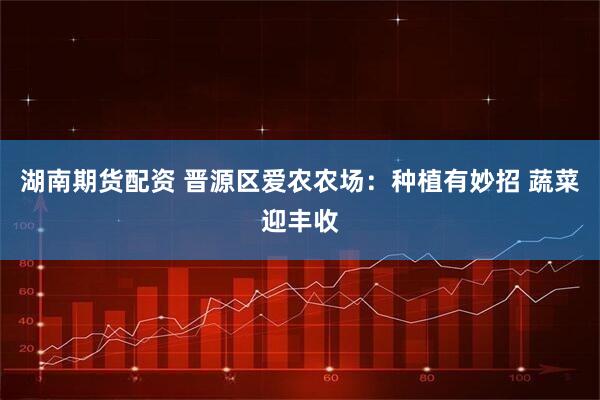 湖南期货配资 晋源区爱农农场：种植有妙招 蔬菜迎丰收