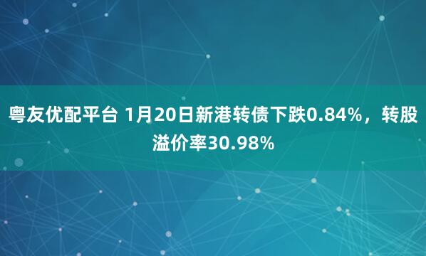 粤友优配平台 1月20日新港转债下跌0.84%，转股溢价率30.98%